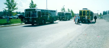 safeway1995