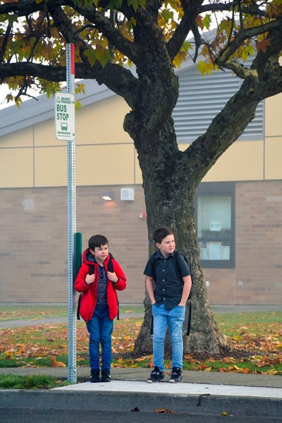 Two young students are waiting at a bus stop on a foggy day. One, wearing a bright red jacket and carrying a backpack, seems to be looking out for the bus. The other, dressed in a black shirt and blue jeans, stands beside him, gazing into the distance. They're under the shade of a large tree with autumn leaves, next to a sign that clearly marks the spot as a bus stop.